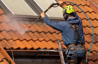 Démoussage et hydrofuge de toiture à Calmels-et-le-Viala
